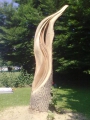 Baum "Weber"