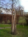 Baum "Auge"