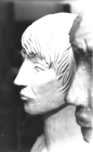 anatomisch Kopfstudie